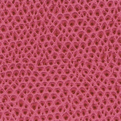 Ostrich Skin Matte Indian Pink